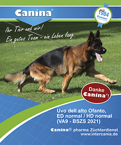 Canina3
